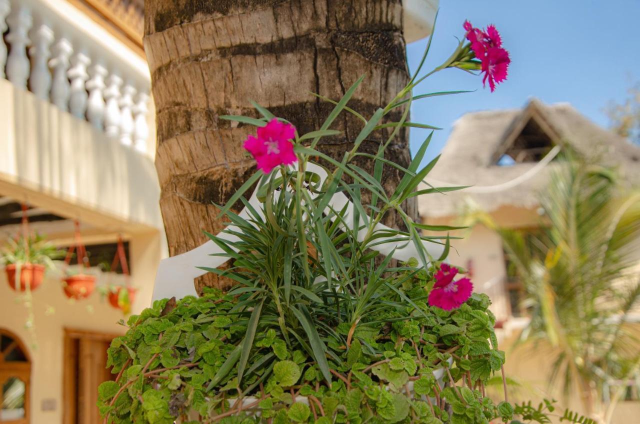 Zanpalm Boutique Hotel Michamvi Екстериор снимка